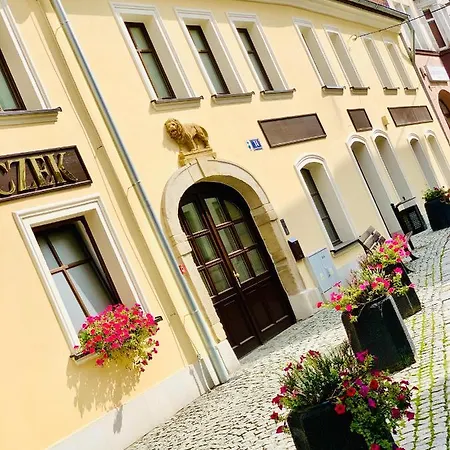 Dwupietrowy Rodzinny W Centrum Miasta Z Darmowym Parkingiem Pod Zlotym Lwem V *