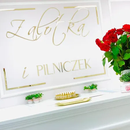 Dwupietrowy Z Dwoma Sypialniami ,salonem I Darmowym Parkingiem W Centrum Miasta Pod Zlotym Lwem V Διαμέρισμα *