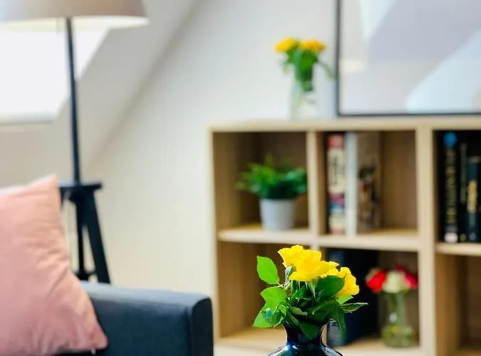 Dwupietrowy Z Dwoma Sypialniami ,salonem I Darmowym Parkingiem W Centrum Miasta Pod Zlotym Lwem V Διαμέρισμα *