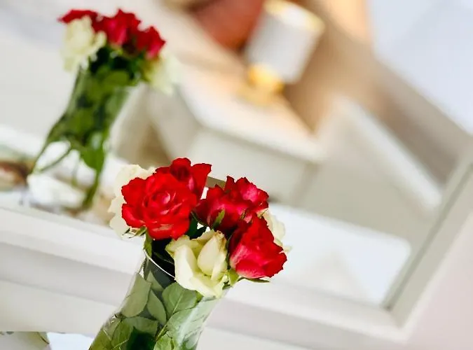 Διαμέρισμα Dwupietrowy Z Dwoma Sypialniami ,salonem I Darmowym Parkingiem W Centrum Miasta Pod Zlotym Lwem V *